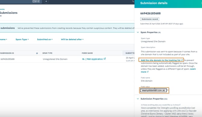 Example HubSpot spam submission