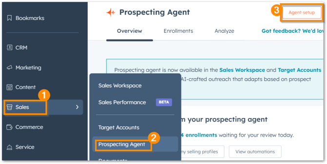 Access Prospecting Agent in HubSpot